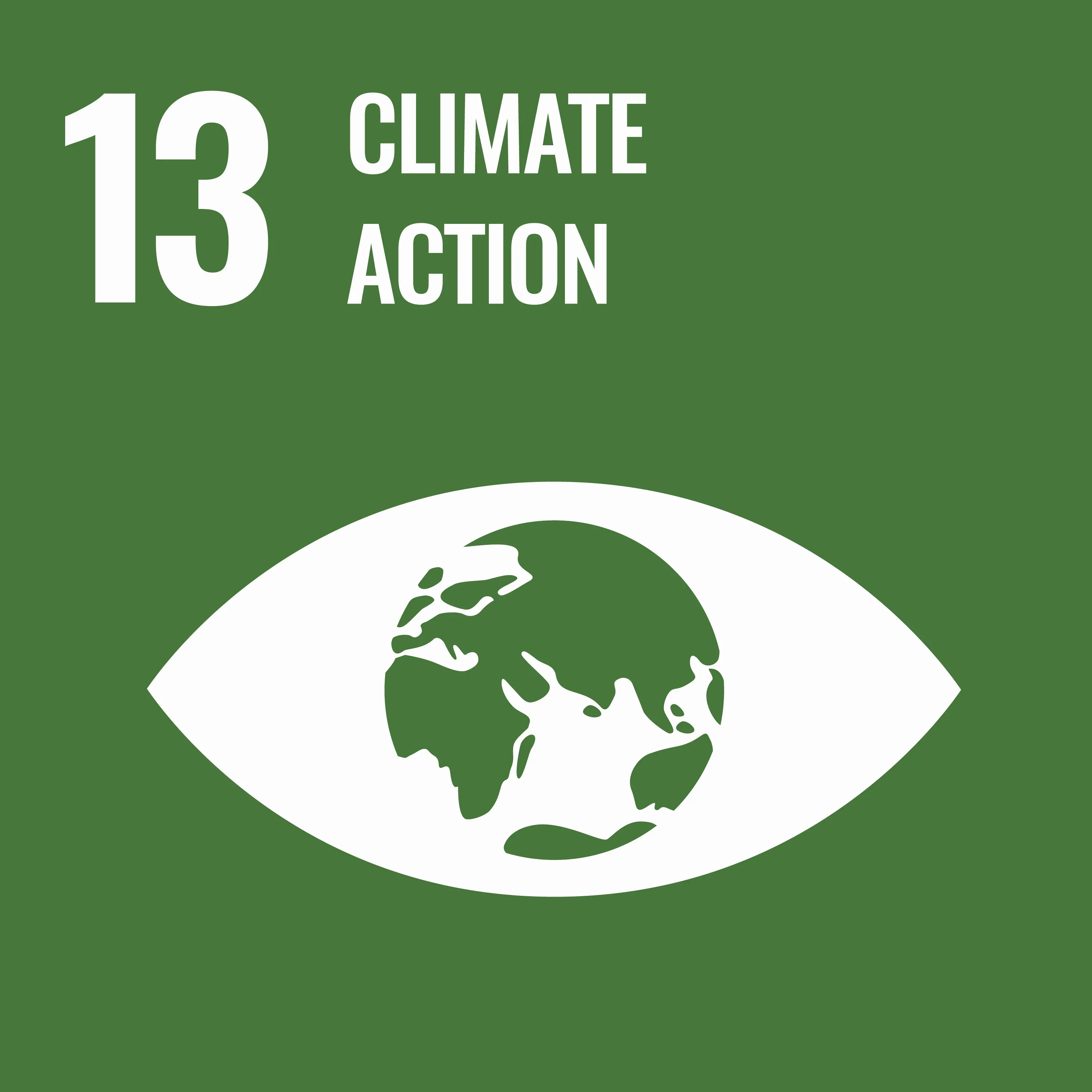 SDG 3 icon placeholder