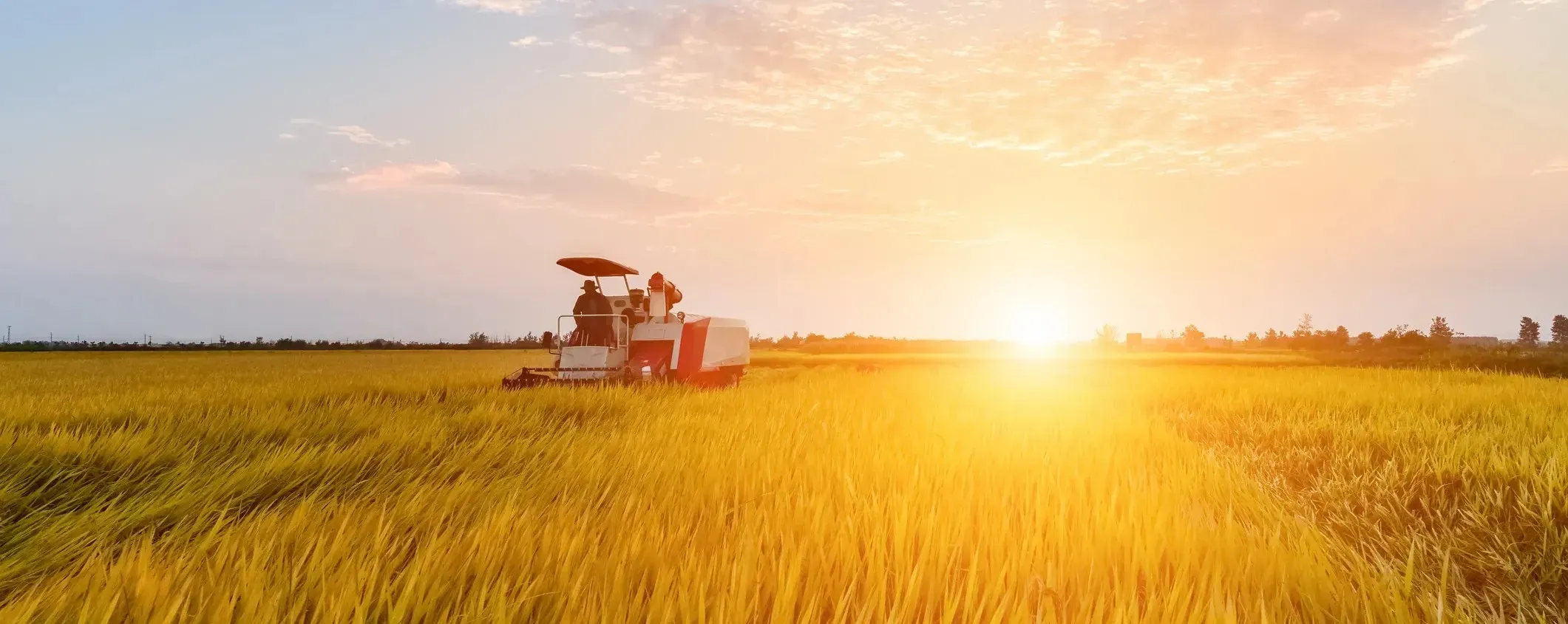 Agro Leasing